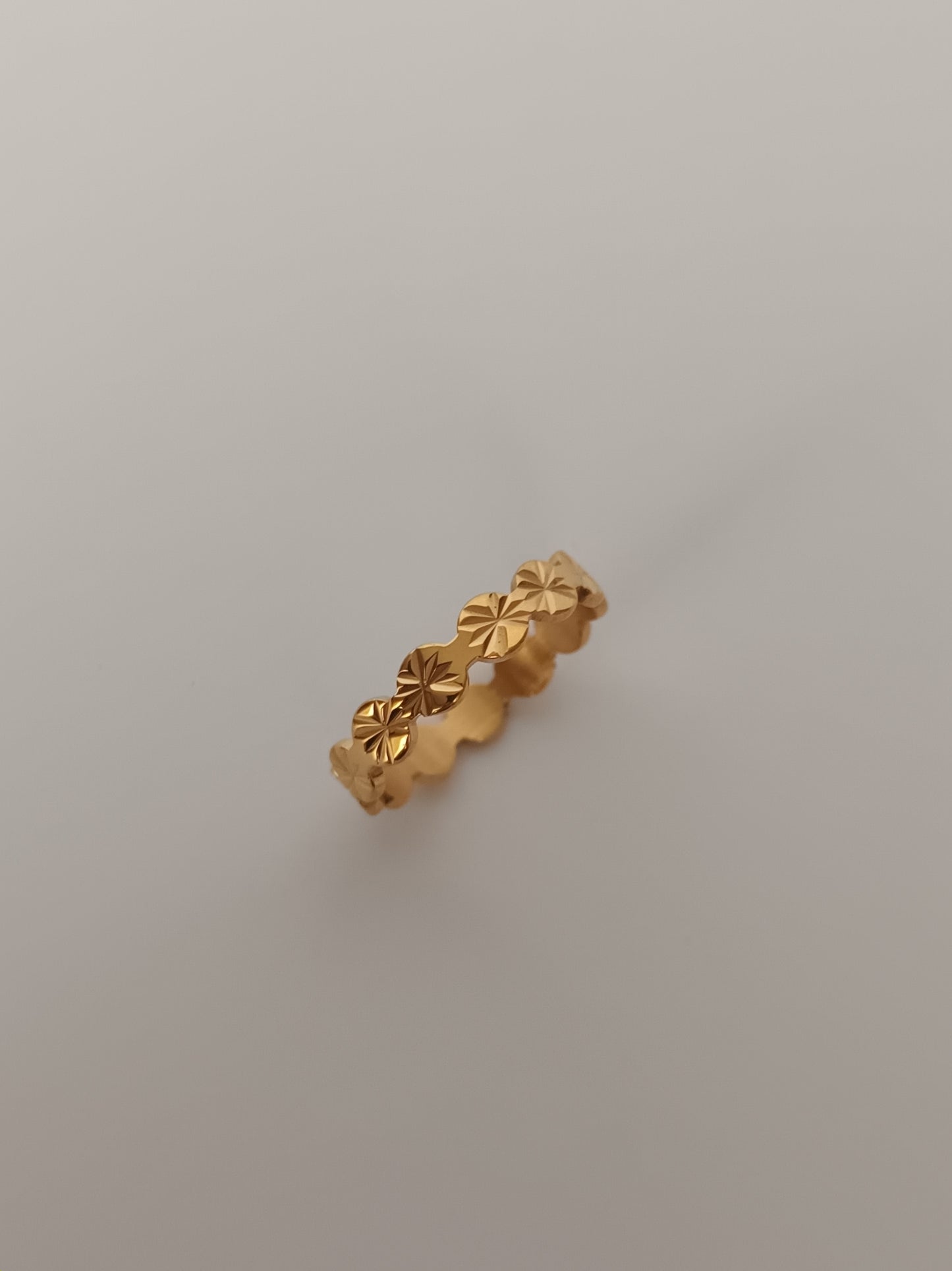 Anillo Basic