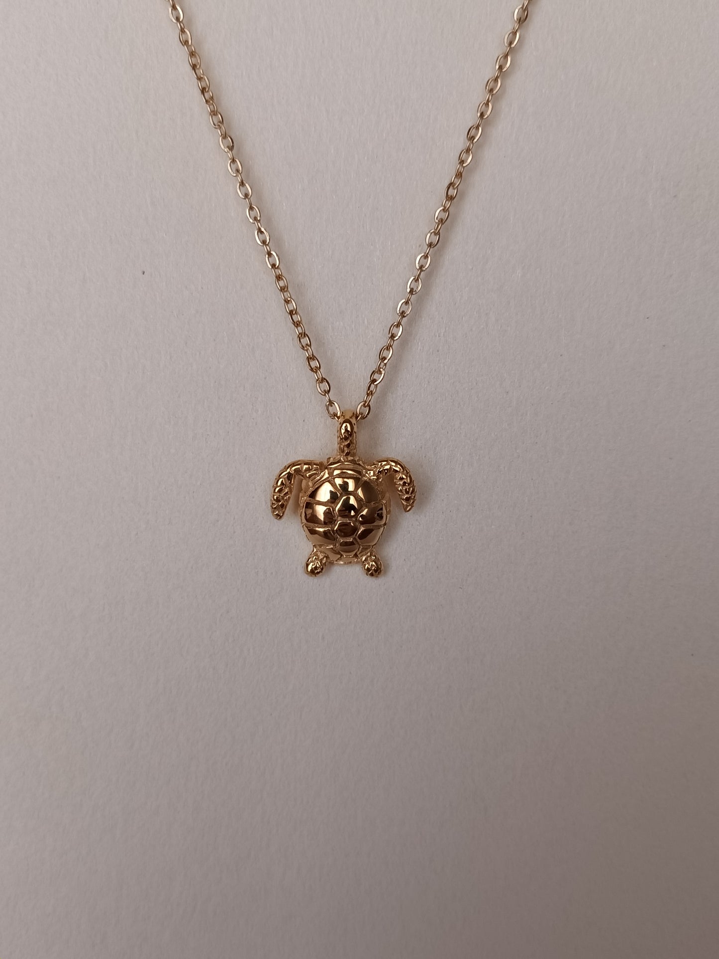 Collar Tortuga