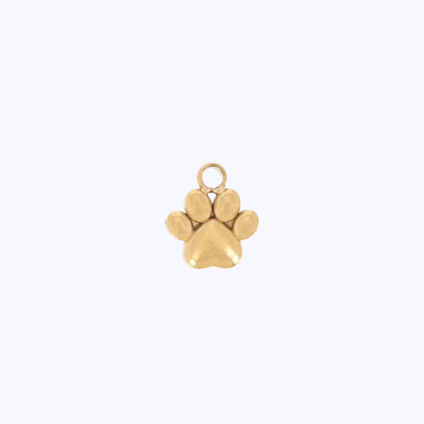 Charm Mini Huella