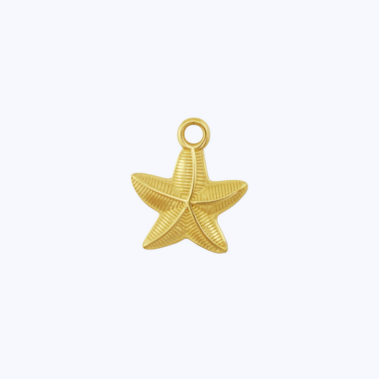 Charm Estrella Mar
