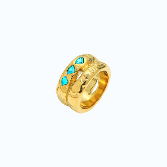Anillo Vega